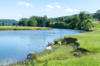 iStock-970484838, River Derwent